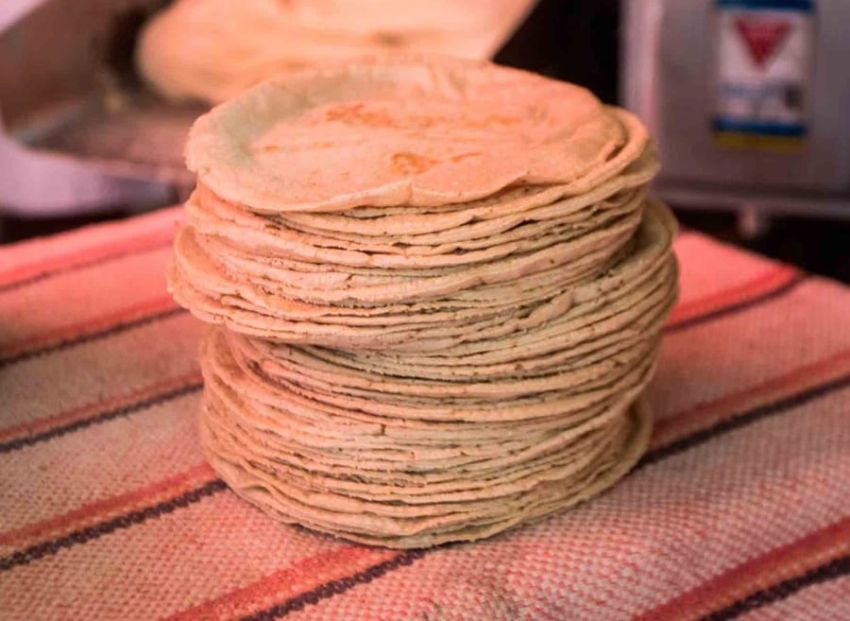 El kilo de tortilla en tortillerías tiene un precio promedio de 17.70