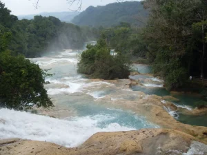 Cascadas de Agua Azul rodeadas de selva en Chiapas