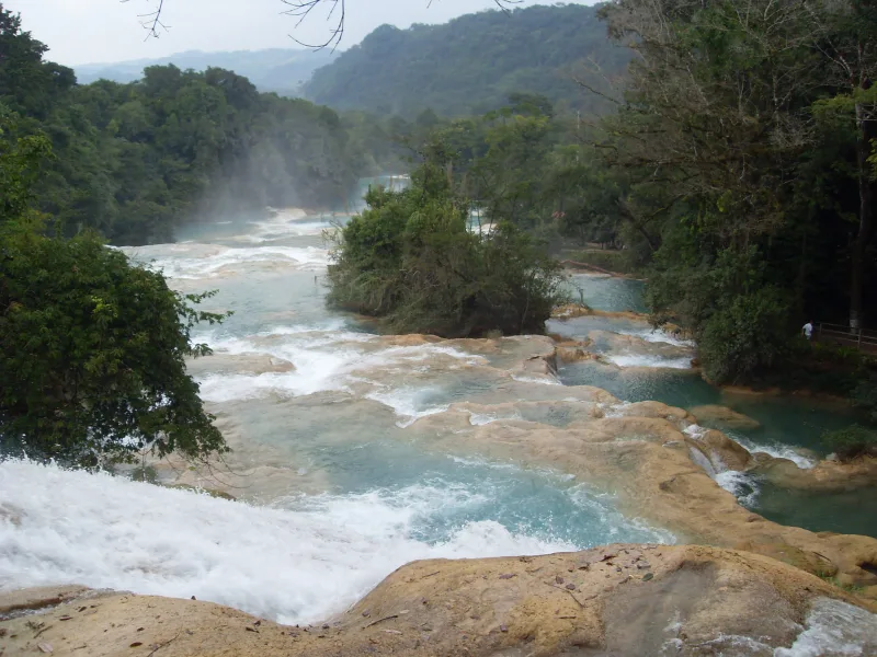 Cascadas de Agua Azul rodeadas de selva en Chiapas
