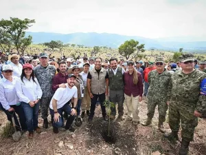 Chiapas se suma a la Jornada Nacional de Reforestación con más de un millón de árboles