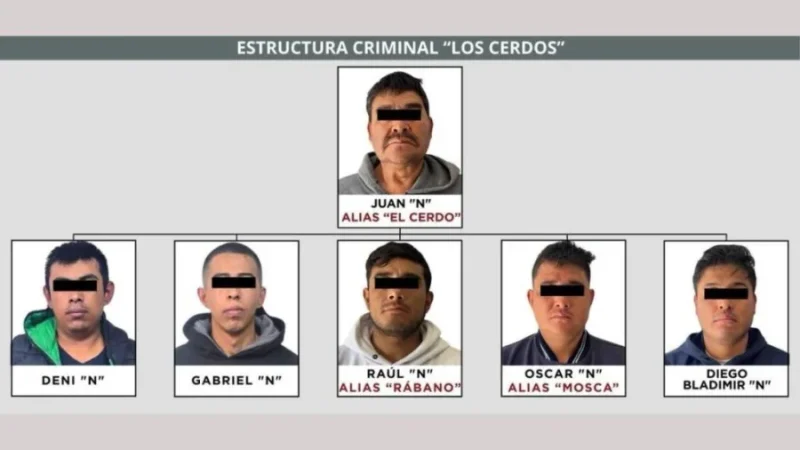 Presuntos integrantes de Los Cerdos detenidos en el Estado de México