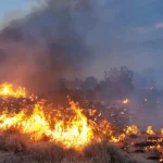 Incendio forestal en Estados Unidos