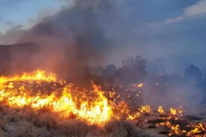 Incendio forestal en Estados Unidos