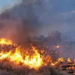Incendio forestal con humo denso en Estados Unidos