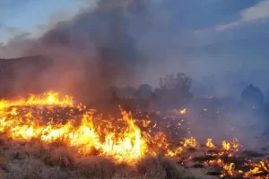 Incendio forestal con humo denso en Estados Unidos