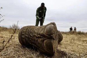 Elefante en el ecosistema de Amboseli