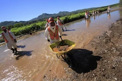 Labores de limpieza tras el derrame en el río Sonora