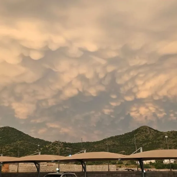 Pronóstico de lluvias y calor en Sonora el 18 de agosto de 2026