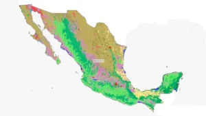 Mapa de vegetación nativa de México