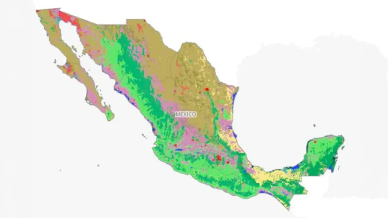 Mapa de vegetación nativa de México