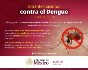 Salud llama a prevenir dengue, chikungunya y zika antes del regreso a clases