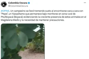 Hipopótamo Pepe observado en una zona rural de Puerto Boyacá