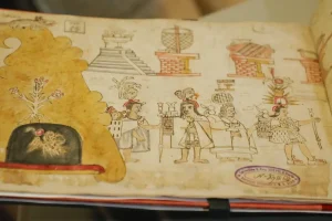 Detalle del Códice Azcatitlan exhibido en México